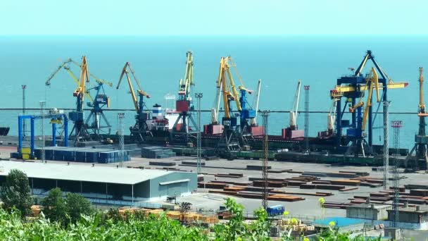 Laden van een schip in de zeehaven — Stockvideo