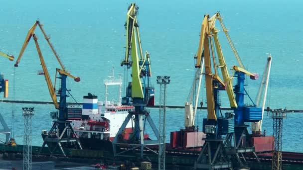 Poort kranen op een schip geladen — Stockvideo