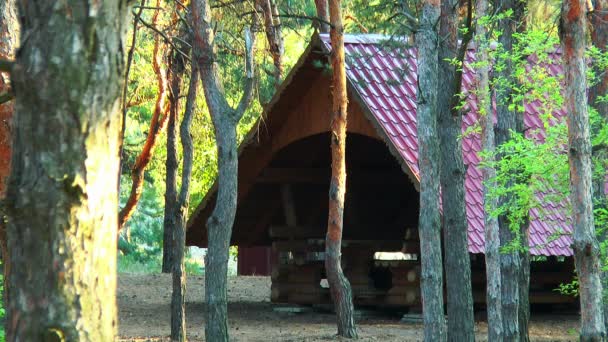 Gazebo in het bos gebouwd van Logboeken — Stockvideo