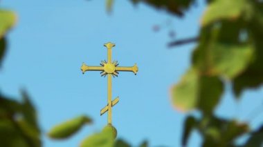 Kubbe yaprakları arasında çapraz