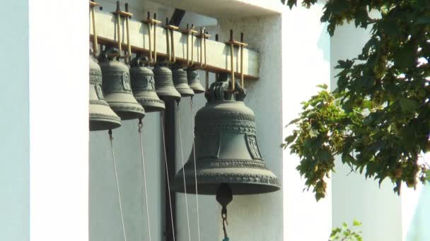 メープルの目に見える教会の鐘の枝から — ストック動画