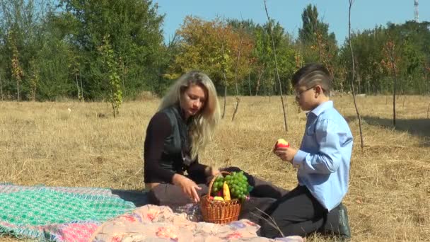 Mor och son på en picknick — Stockvideo