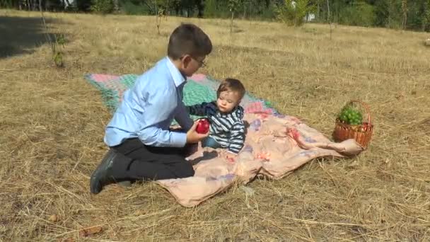 Dos hermanos en un prado en el parque — Vídeos de Stock
