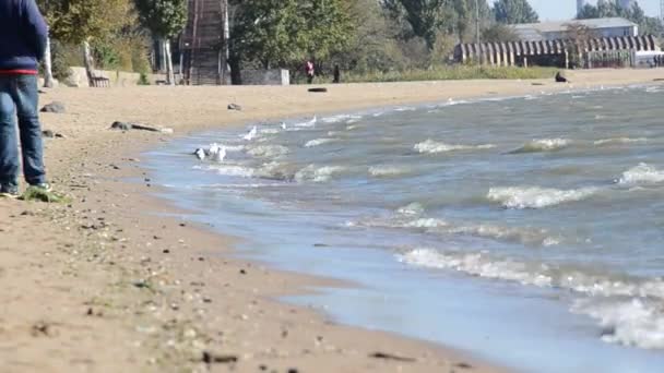 Dreng går på stranden – Stock-video