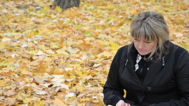 Γυναίκα που κάθεται στο κίτρινα φύλλα, διαβάζοντας ένα βιβλίο — Αρχείο Βίντεο