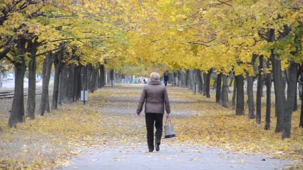 Mujer caminando por la avenida entre hojas amarillas — Vídeos de Stock