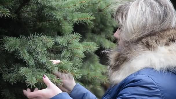 Mujer toca ramita picea — Vídeo de stock