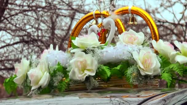 Decoration on wedding car — Stock Video