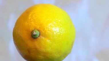 Beyaz bir arka plan üzerinde dönen limon