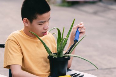 Tekerlekli sandalyedeki Asyalı özel çocuk ve babası, tencereye aloe vera, gelişim faaliyetleri ve evde aile zamanı ile ilişkiler, eğitim çağında yaşam tarzı ve mutlu engelli çocuk kavramı ekiyor..