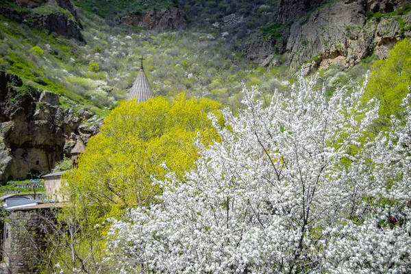 Gazouillis de toit conique dans le monastère Geghard parmi les arbres en fleurs — Photo