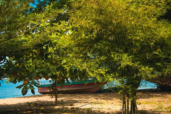 Pek çok ağaç bambu ve tekne tropikal plaj — Stok fotoğraf