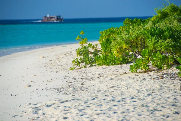 Bella spiaggia tropicale con sabbia bianca e cespugli — Foto Stock