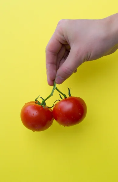 Man's hand hold two tomatoes, vertical — Stock Photo, Image