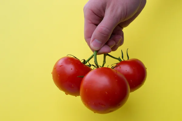 Man's hand hold three tomatoes — Stock Photo, Image
