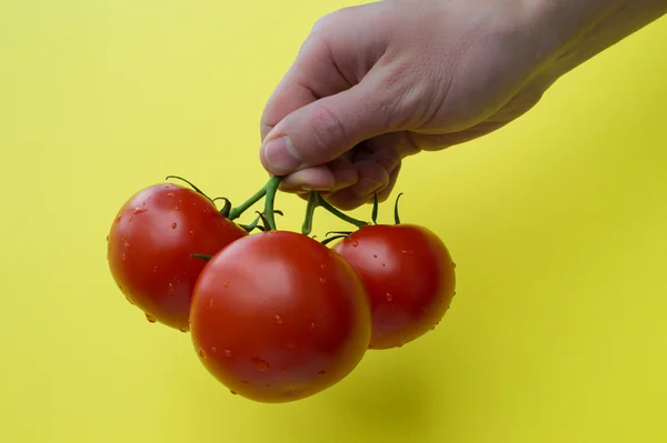 Man's hand hold three tomatoes, horizontal — Stock Photo, Image