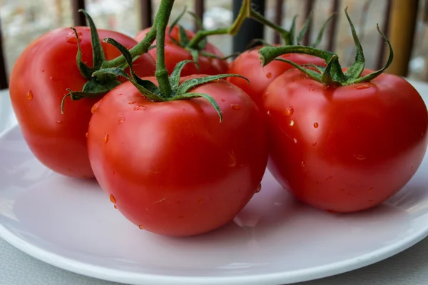 Red tomatoes on white plate — Stock Photo, Image