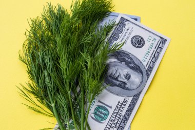 Yeşillik dereotu ve Sarı zemin üzerine yüz dolar