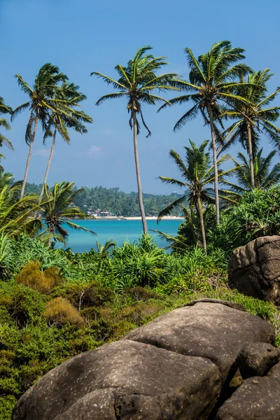 Paesaggio marino con palme e sassi, verticale — Foto Stock