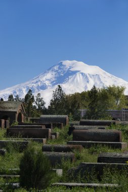 Antik mezar taşları, arka plan Ararat, Masis, Etchmiadzin Katedrali, Ermenistan