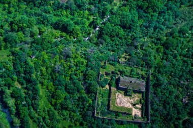 Üstten Görünüm, eskilerin kalıntıları arasında orman