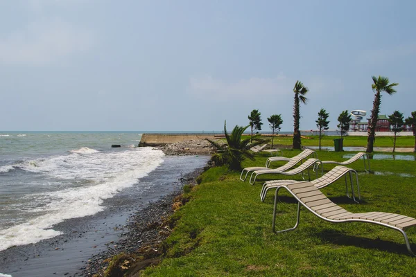 tatil beldesi, şezlong, Karadeniz, palmiye ağaçları, tonda manzara