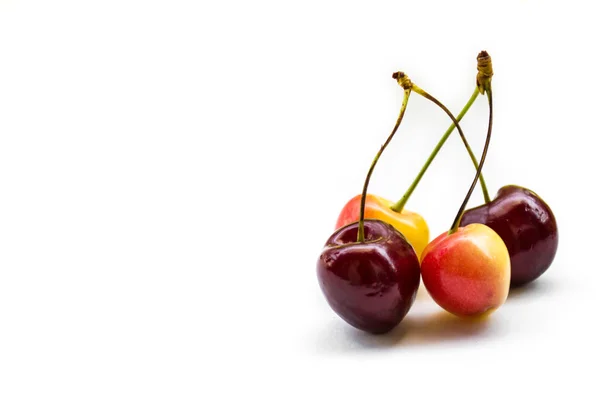 Four sweet cherries, isolated — Stock Photo, Image