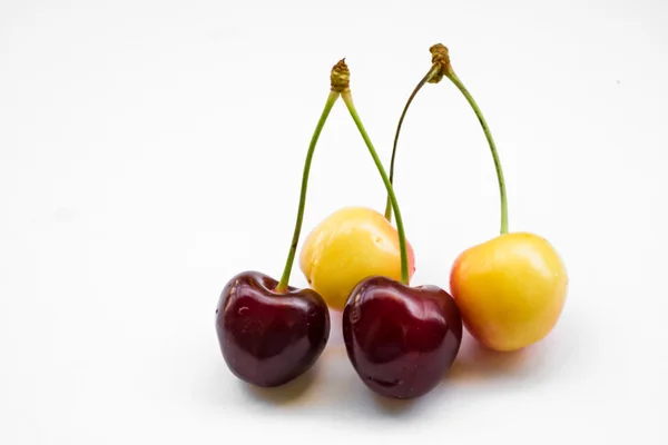 Four many-coloured sweet cherries — Stock Photo, Image