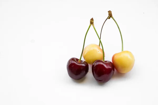 Four many-coloured sweet cherries, isolated — Stock Photo, Image