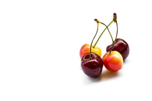 Four sweet cherries, isolated, copy space — Stock Photo, Image