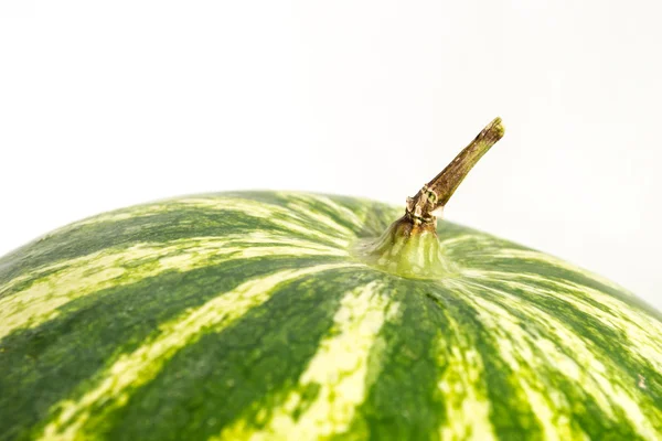 Top watermelon, fruit stalk — Stock Photo, Image