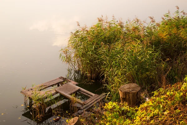 Kürsü ve su kamışı