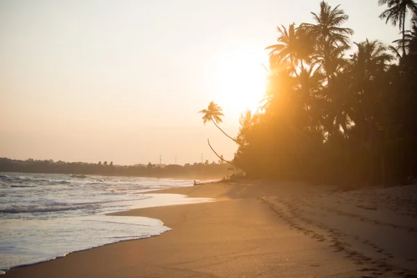 Pôr do sol na bela praia tropical — Fotografia de Stock
