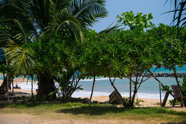 Paisagem paradisíaca tropical, Sri Lanka — Fotografia de Stock
