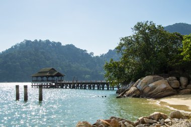 Işıltılı su ile manzara