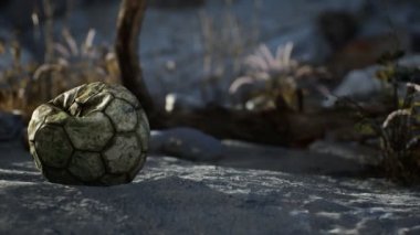Eski yırtık bir futbol topu deniz kumsalında yatıyor.