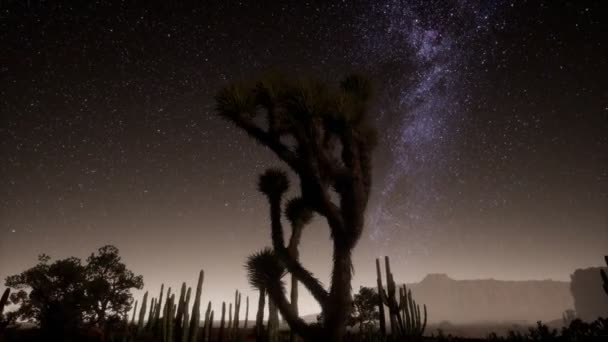 Hyperlapse in de dood vallei nationaal park woestijn maanlicht onder sterrenstelsel sterren — Stockvideo