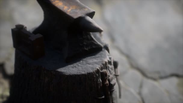 Old anvil attached to a stump — Stock Video