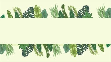 Tropikal egzotik yapraklar ekolojik animasyon kalıbı arka plan 4k