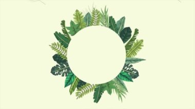 Tropikal egzotik yapraklar ekolojik animasyon kalıbı arka plan 4k