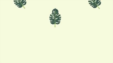 Tropikal egzotik yapraklar ekolojik animasyon kalıbı arka plan 4k