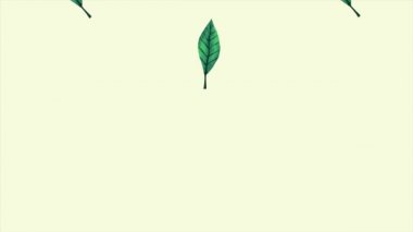 Tropikal egzotik yapraklar ekolojik animasyon kalıbı arka plan 4k
