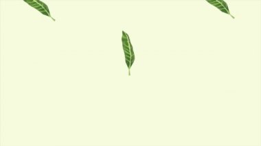 Tropikal egzotik yapraklar ekolojik animasyon kalıbı arka plan 4k