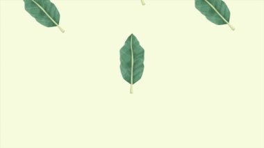 Tropikal egzotik yapraklar ekolojik animasyon kalıbı arka plan 4k