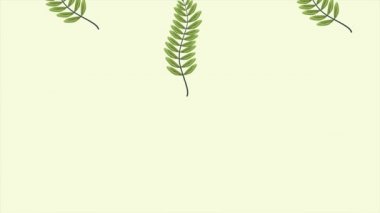 Tropikal egzotik yapraklar ekolojik animasyon kalıbı arka plan 4k