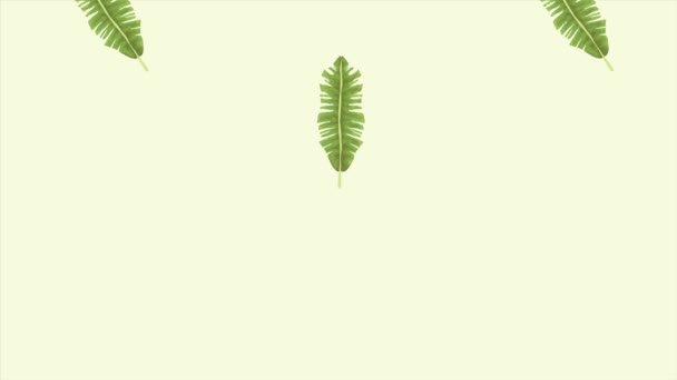 Tropikalne egzotyki liście ekologia animacja wzór tło 4k — Wideo stockowe