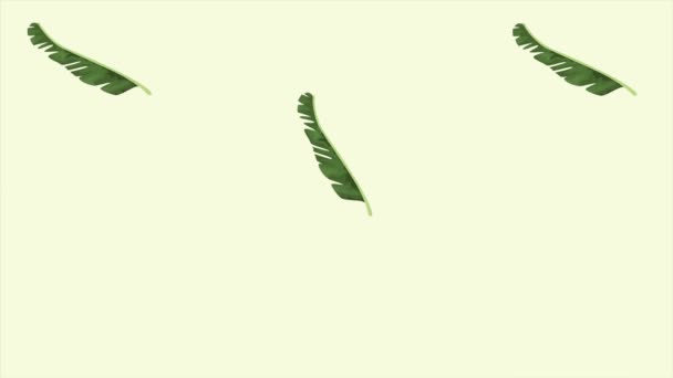 Tropicale exotice frunze ecologie model de animație fundal 4k — Videoclip de stoc