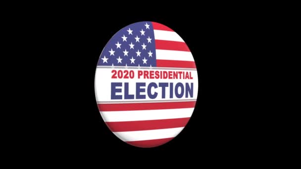 Usa brooch election — Stock Video