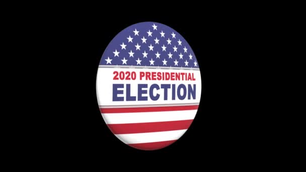Usa brooch election — Stock Video