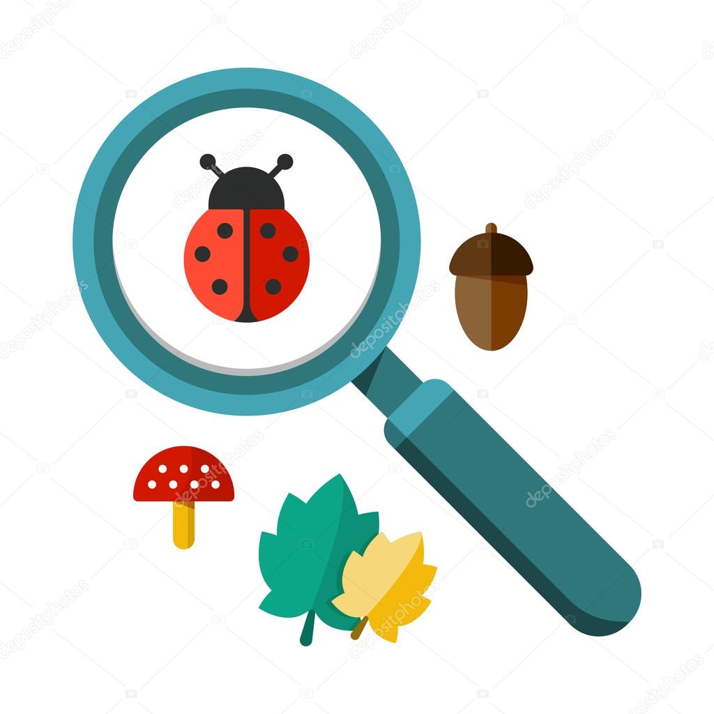 Ladybug and a magnifying glass